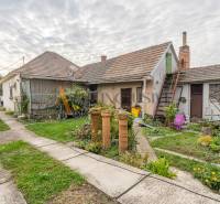 Dvůr rodinného domu ve Velkých Dvorníkách s trávníkem, rostlinami a budovami.