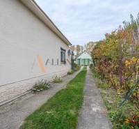 Chodník vede podél rodinného domu ve Velkých Dvorníkách se zahradou plnou rostlin.