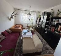 Obývací pokoj s pohovkou, křesly, policemi, rostlinami a dekorací ve 4pokojovém bytě.