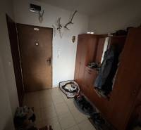 Předsíň ve 4-pokojovém bytě s věšáky, psím pelíškem a dekorativními parožím na stěně.