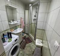 Koupelna se sprchovým koutem, pračkou a umyvadlem ve 4pokojovém bytě.