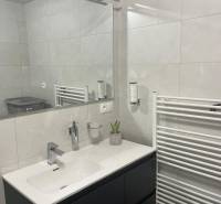 Koupelna v 3-pokojovém bytě s moderním umyvadlem, zrcadlem a radiátorem.