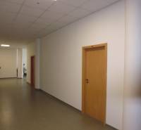 Chodba v kanceláři se světlou podlahou, bílými stěnami a dveřmi s dřevěným dekorem.