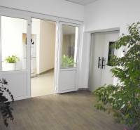 Kanceláře s bílými dveřmi a květináči. Podlaha s dřevěným dekorem.