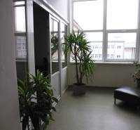 Kancelář s rostlinami a křeslem; velké okno umožňuje přirozené osvětlení.