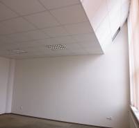 Prostorná kancelář s podlahou s dřevěným dekorem a velkým oknem, vhodná k práci.