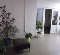 Kanceláře s rostlinami, světlými stěnami a bílými dveřmi.