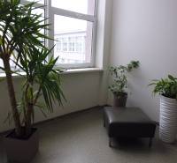 Kanceláře s rostlinami, křeslem a velkým oknem, podlaha s dekorem.