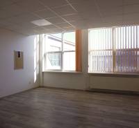 Interiér kanceláře s podlahou s dřevěným dekorem, velká okna a radiátor.