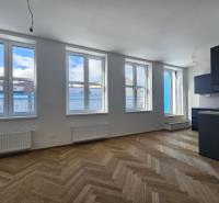 1+kk byt s podlahou s dřevěným dekorem a černou kuchyňskou linkou.