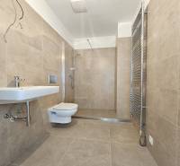 Koupelna s keramickými obklady, závěsným WC a sprchovým koutem v 1-pokojovém bytě.