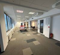 Samozřejmě, prosím, poskytněte text, který chcete přeložit do češtiny.