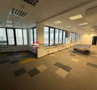 Kanceláře s velkými okny a kobercovou podlahou, místnost obsahuje pingpongový stůl.