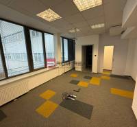 Kanceláře s velkými okny a kobercovými dlaždicemi v odstínech na Cintorínské ulici.