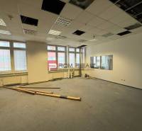 Samozřejmě, prosím, poskytněte text, který chcete přeložit do češtiny.