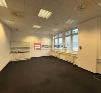 V kanceláři jsou bílé skříňky, koberce, stropní svítidla a velká okna.