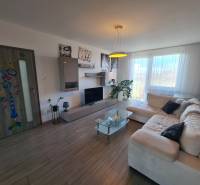 Obývací pokoj v dvoupokojovém bytě s podlahou s dřevěným dekorem a prostornou pohovkou.