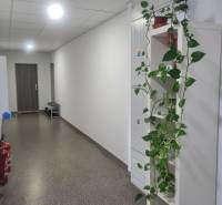 Chodba v 2-pokojovém bytě s dlažbou, zelení a únikovým značením na stropě.