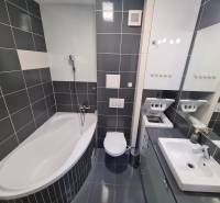 Koupelna v 2-pokojovém bytě s vanou, pračkou, umyvadlem a tmavými obklady.