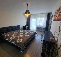 Ložnice v dvoupokojovém bytě s postelí, skříňkou a podlahou s dřevěným dekorem.