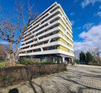 Bytový dům v Komárně se 7 patry, obklopený stromy a dlážděným chodníkem.