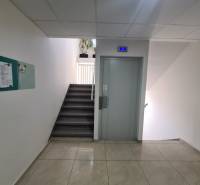 Schodiště s výtahem, dlažbou a rostlinami v 2-pokojovém bytě.