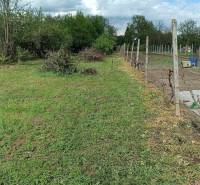 Pozemek u rodinného domu na Salibské ulici v Horních Salibách s travnatou plochou a zahradou.