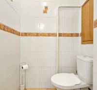Koupelna s toaletou v 2-pokojovém bytě se světlými dlaždicemi a dřevěným dekorem.