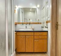 Koupelna se sprchovým koutem, umyvadlem a skříňkami ve 2-pokojovém bytě s podlahou s dřevěným dekorem.