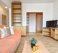 Obývací pokoj v 2pokojovém bytě s pohovkou a podlahou s dřevěným dekorem.