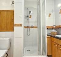 Koupelna v 2-pokojovém bytě s toaletou, sprchovým koutem, umyvadlem a dřevěnou skříňkou.