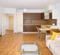 Obývací pokoj dvoupokojového bytu s kuchyní, podlahou s dřevěným dekorem a pohodlným sezením.