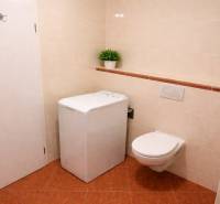 Koupelna s pračkou, závěsným WC a rostlinou v 2-pokojovém bytě.