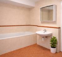 Koupelna s vanou a umyvadlem v 2-pokojovém bytě, doplněná zelenou rostlinou.