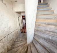 Schodiště vedoucí do interiéru rodinného domu s opotřebovanou omítkou na stěnách.