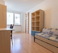 Pokoj v 3-pokojovém bytě s rozkládací pohovkou, regály a podlahou s dřevěným dekorem.