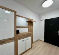 Chodba s podlahou s dřevěným dekorem v 2-pokojovém bytě, moderní nábytek a tmavé dveře.