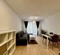 Obývací pokoj v 2-pokojovém bytě s pohovkou a jídelním stolem, podlaha s dřevěným dekorem.