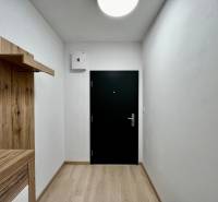 V 2-pokojovém bytě je předsíň s věšákem, podlahou s dřevěným dekorem a tmavými dveřmi.