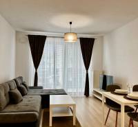 Obývací pokoj v 2-pokojovém bytě s pohovkou, jídelním stolem a podlahou s dřevěným dekorem.