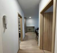 Chodba v 2-pokojovém bytě s podlahou s dřevěným dekorem a jednoduchým interiérem.