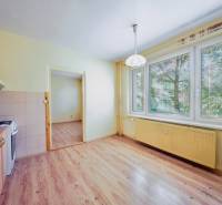 Kuchyně v 1-pokojovém bytě s podlahou s dřevěným dekorem a velkým oknem.