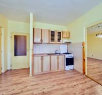 Kuchyně v 1-pokojovém bytě s podlahou s dřevěným dekorem a plynovým sporákem.