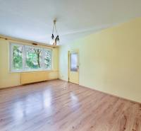 Pokoj s podlahou s dřevěným dekorem a žlutými stěnami v 1-pokojovém bytě.