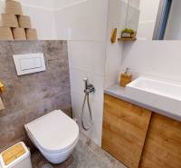 Koupelna se sprchou v 3-pokojovém bytě, umyvadlo a WC s dekorem dřeva.