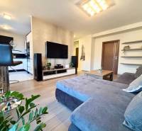 Obývací pokoj v 2-pokojovém bytě s pohodlnou sedačkou a podlahou s dřevěným dekorem.