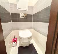 Toaleta v 2-pokojovém bytě s bílými a šedými dlaždicemi na stěnách.