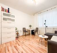 Garsonka s pohodlnou sedačkou, bílým nábytkem a podlahou s dřevěným dekorem.