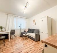 Garsonka s podlahou s dřevěným dekorem, šedou sedačkou a bílou lednicí.