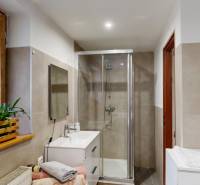 Koupelna s rostlinami, sprchovým koutem a umyvadlem v rodinném domě.